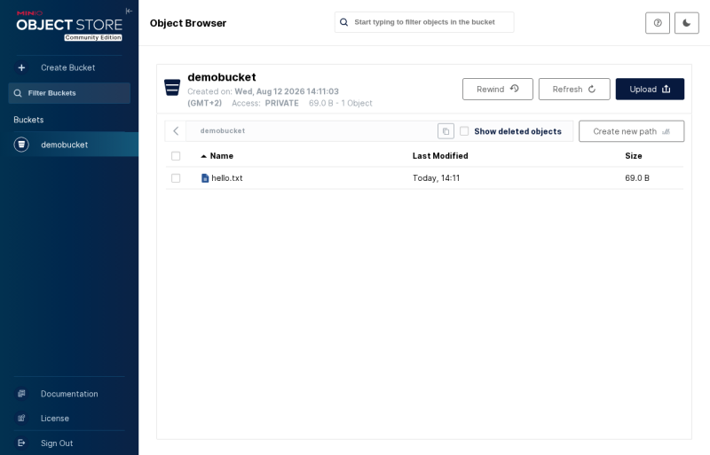 File:MinIO-Object-Browser-on-PMSS.png