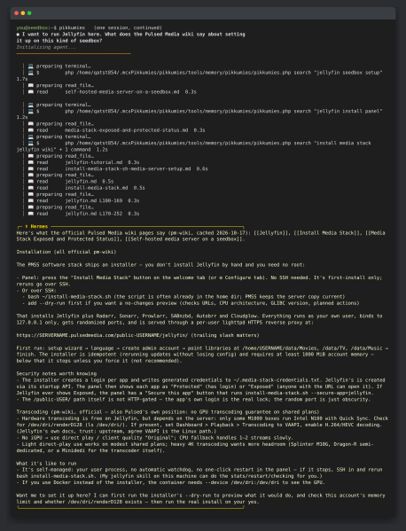 File:Pikkumies-chat-jellyfin-20261017.png