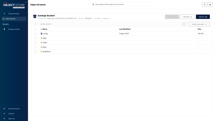 MinIO Object Browser drilled into backup-bucket showing the Restic chunk layout