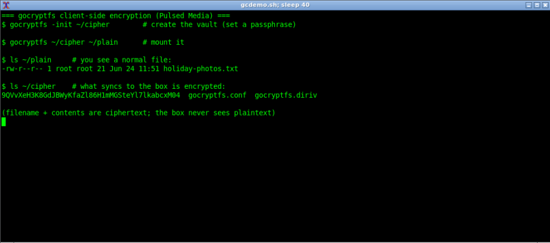 File:Gocryptfs-client-side-encryption-demo.png