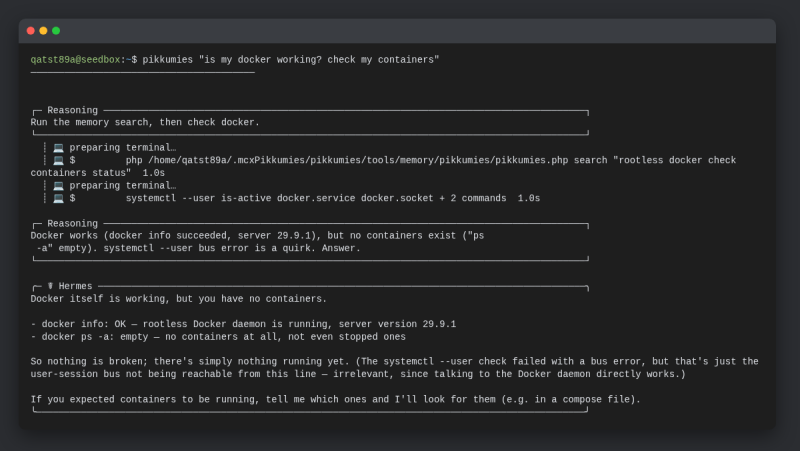 File:Pikkumies-docker-20261017.png